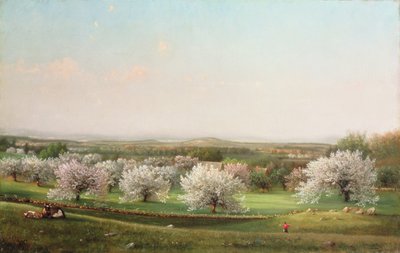 Apple Orchard, 1878 by Nelson Augustus Moore